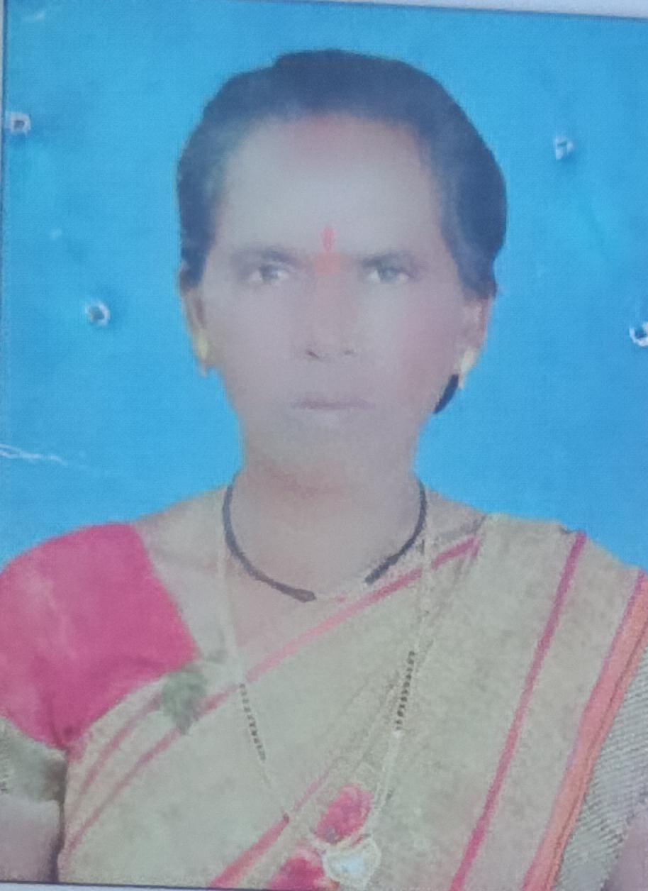 सरपंच फोटो