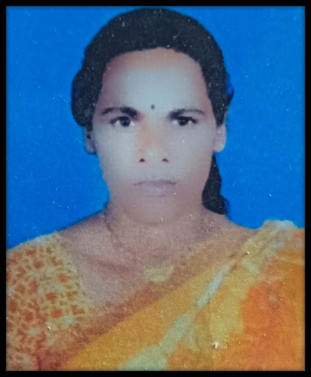 सरपंच फोटो