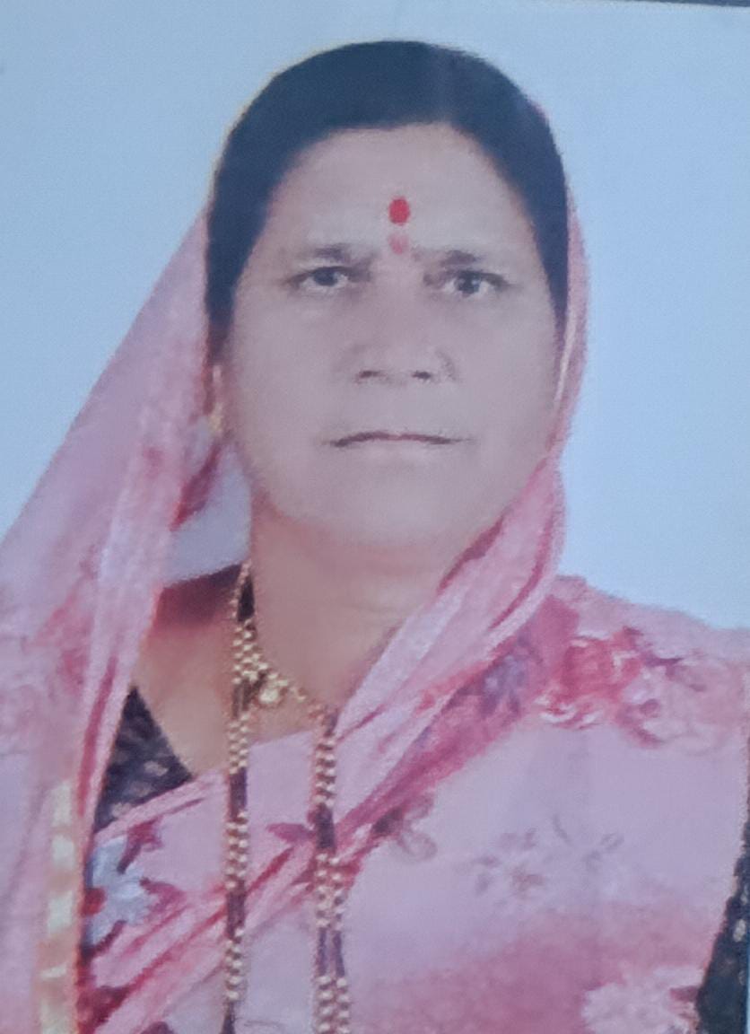 सरपंच फोटो