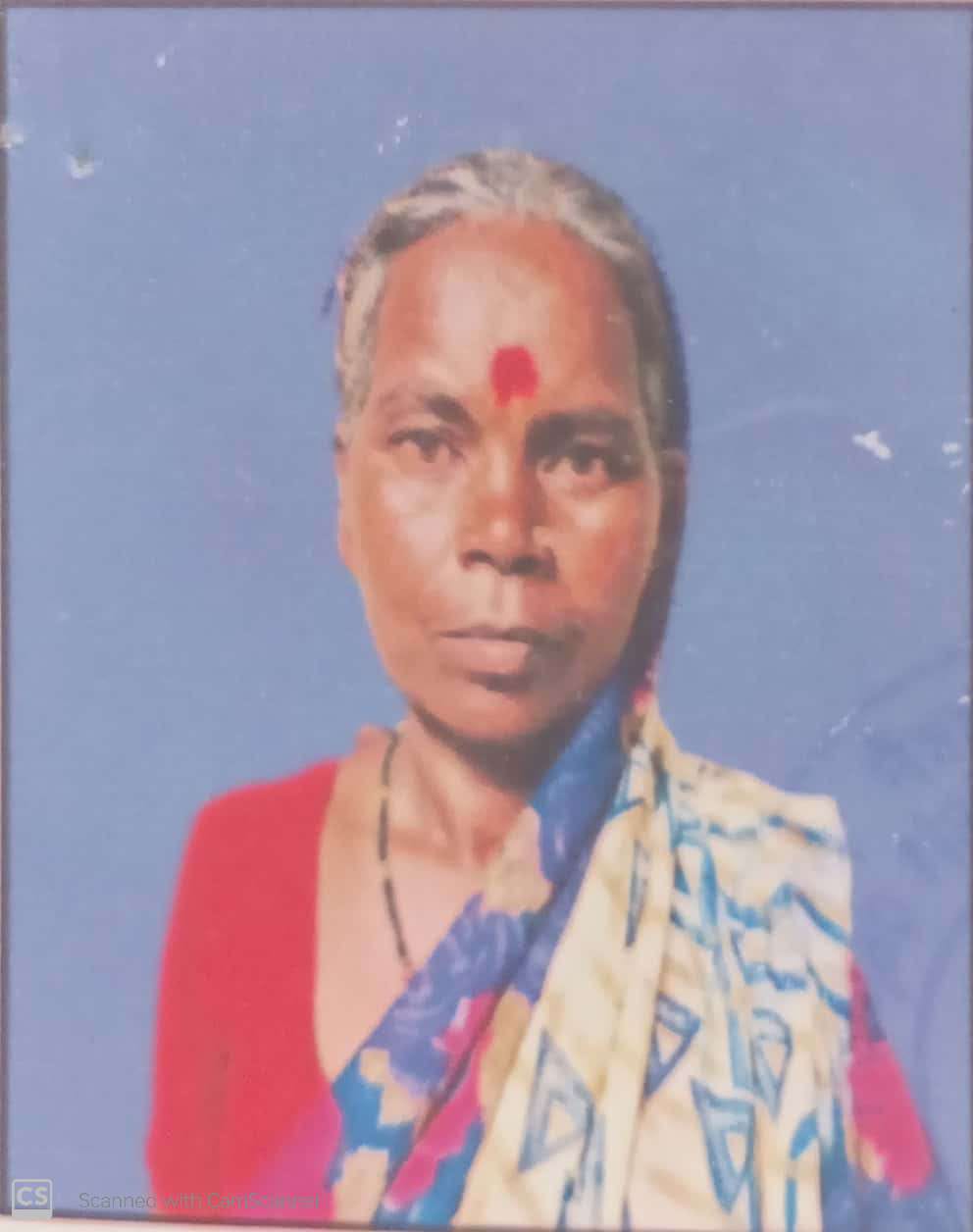 सरपंच फोटो