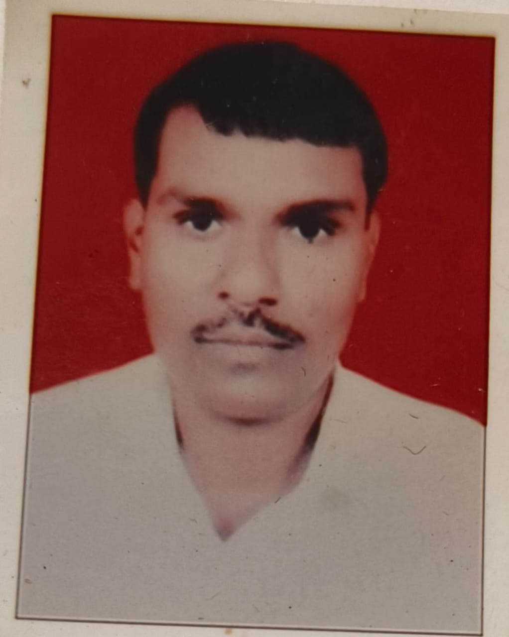 Home рд╕рд░рдкрдВрдЪ рдлреЛрдЯреЛ