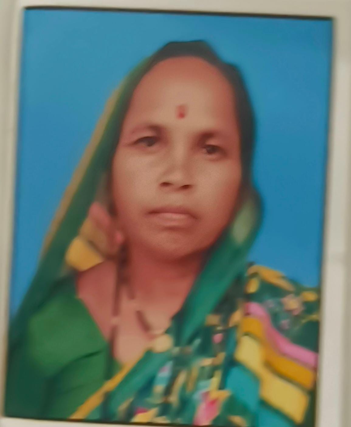 Home рд╕рд░рдкрдВрдЪ рдлреЛрдЯреЛ